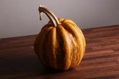 Savor the Season: Incorporating Seasonal Ingredients into Your Wedding MenuIllustration