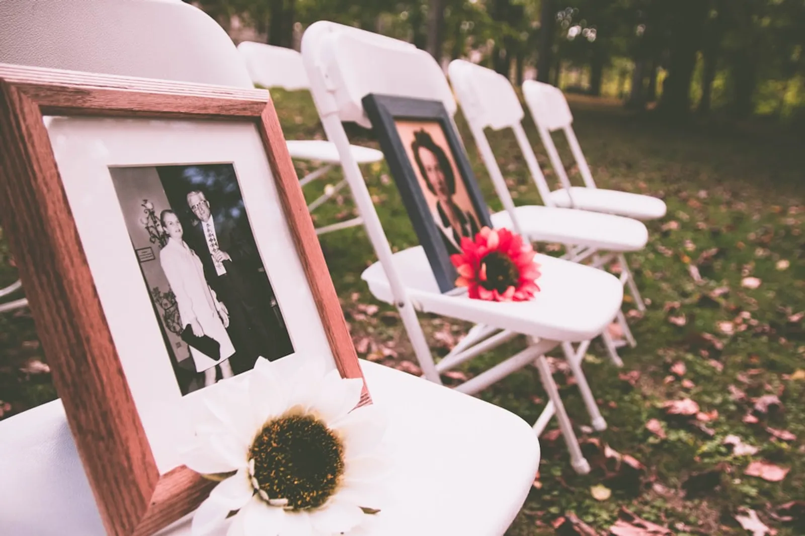 Maximizing Your Wedding Photos: Tips for Perfect Shots Every TimeIllustration